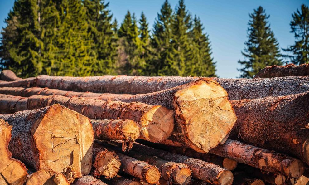 Post-pandemic Natural Resource Management in the&nbsp;Indo-Pacific