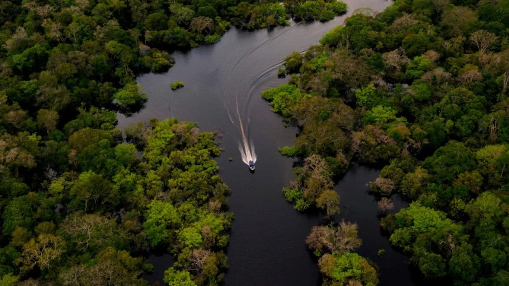 US needs to play constructive role in development of the&nbsp;Amazon